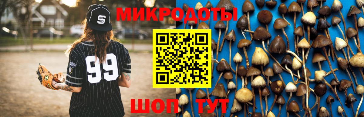 купить закладку  Вход с VPN  Троицк  Галлюциногенные грибы Psilocybine cubensis 